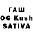 Псилоцибиновые грибы GOLDEN TEACHER Anggi Silaban