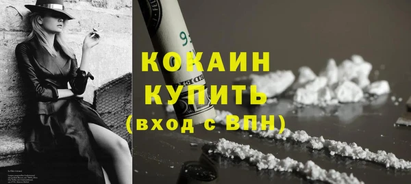 прущие грибы Бородино