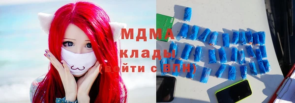 прущие грибы Бородино