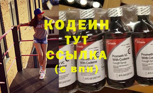 прущие грибы Бородино