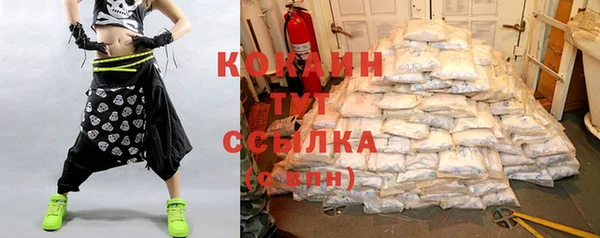 прущие грибы Бородино