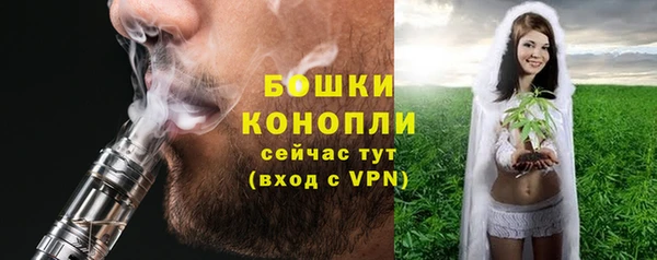 дмт Богородск
