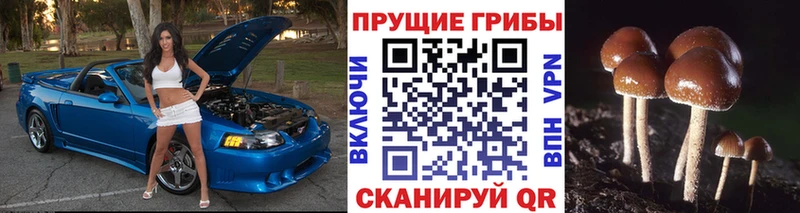 Псилоцибиновые грибы MAGIC MUSHROOMS OMG ТОР Улан-Удэ наркота