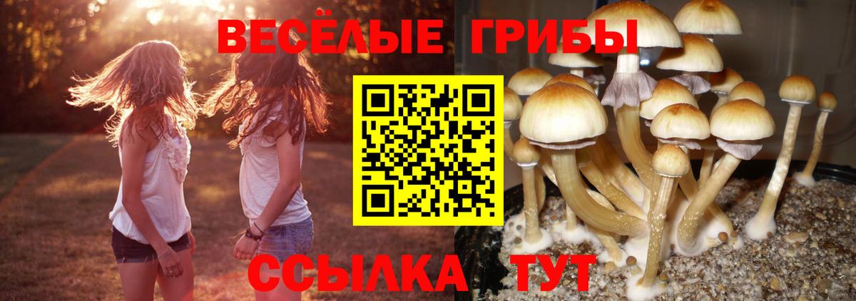 Галлюциногенные грибы ЛСД Улан-Удэ